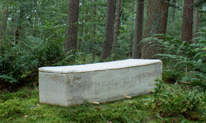 Thinking about a more sustainable afterlife?